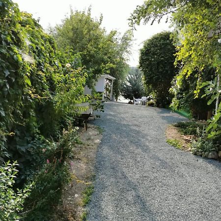 Vila Zuzette Hotel Constanţa Buitenkant foto