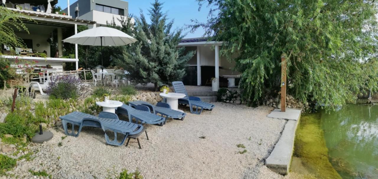 Vila Zuzette Hotel Constanţa Buitenkant foto
