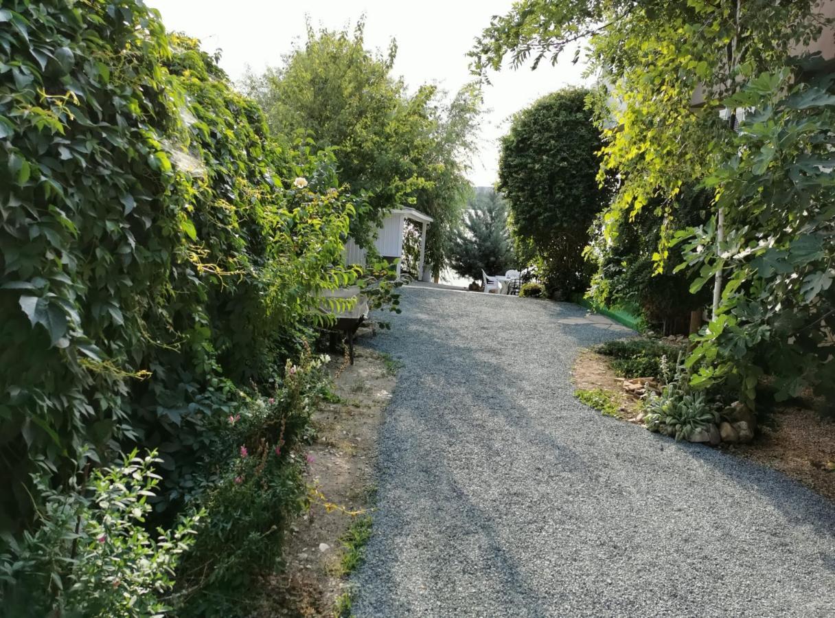 Vila Zuzette Hotel Constanţa Buitenkant foto
