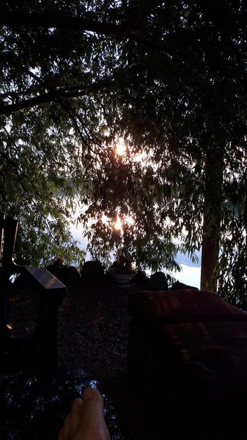 Vila Zuzette Hotel Constanţa Buitenkant foto
